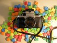 /album/fotografia/p1010073-jpg/